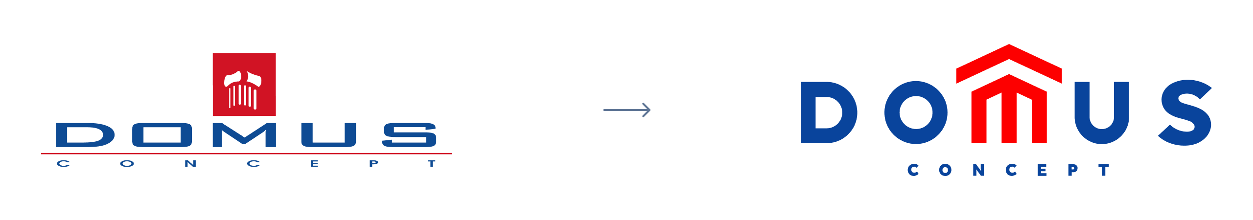 Logo Domus
