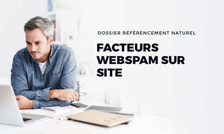 Dossier référencement naturel