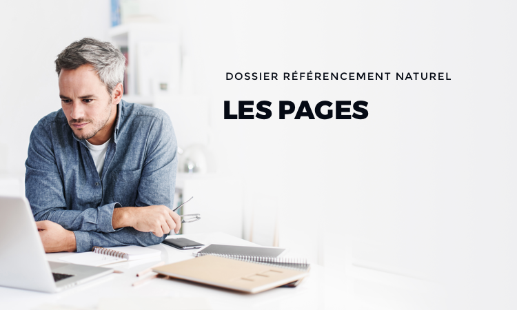 Dossier référencement naturel