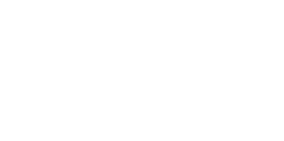 logo ECCO NOVA